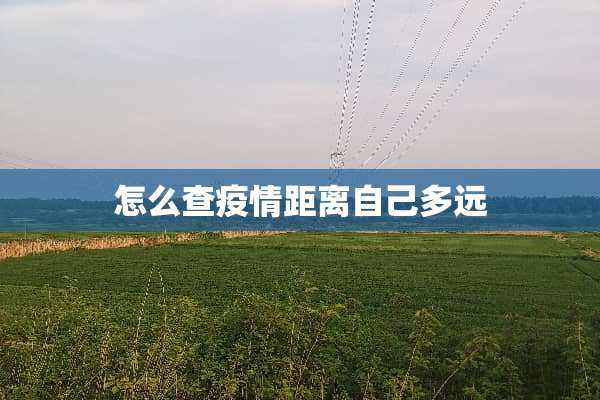 怎么查疫情距离自己多远