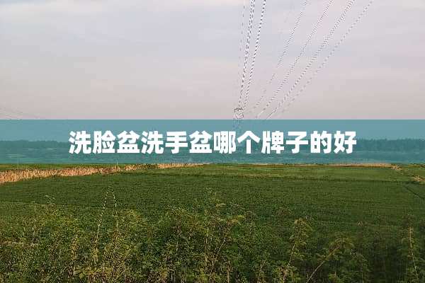 洗脸盆洗手盆哪个牌子的好