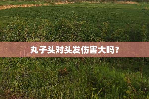 丸子头对头发伤害大吗？