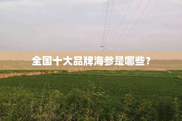 全国十大品牌海参是哪些？