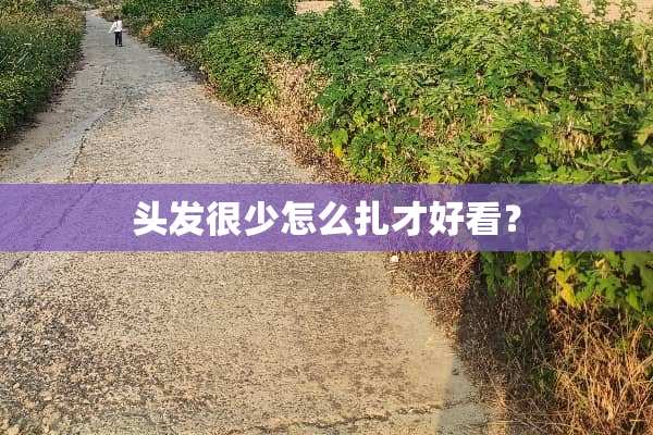 头发很少怎么扎才好看？