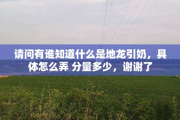 请问有谁知道什么是地龙引奶，具体怎么弄 分量多少，谢谢了