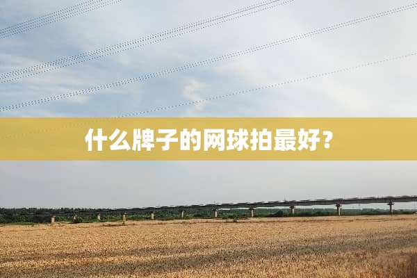 什么牌子的网球拍最好？