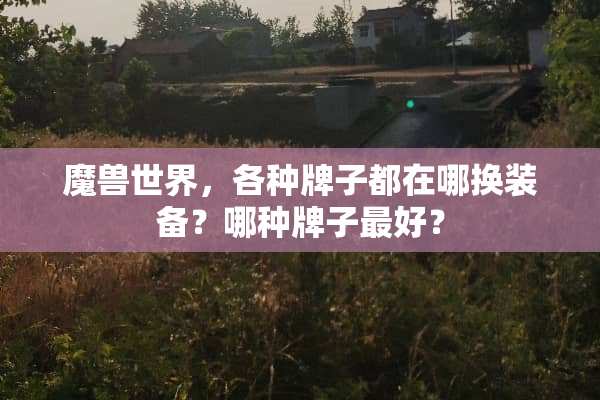 魔兽世界，各种牌子都在哪换装备？哪种牌子最好？