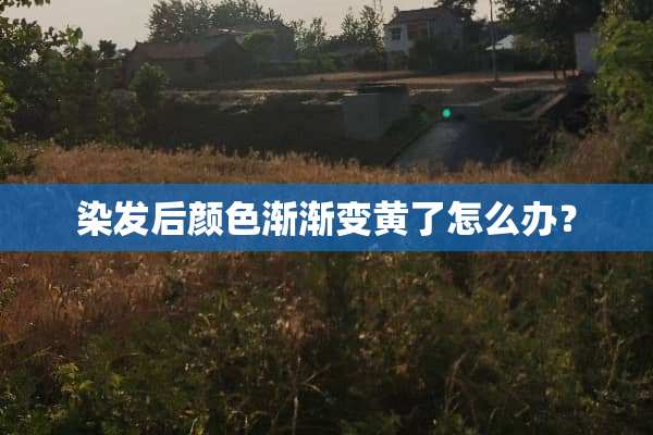 染发后颜色渐渐变黄了怎么办？