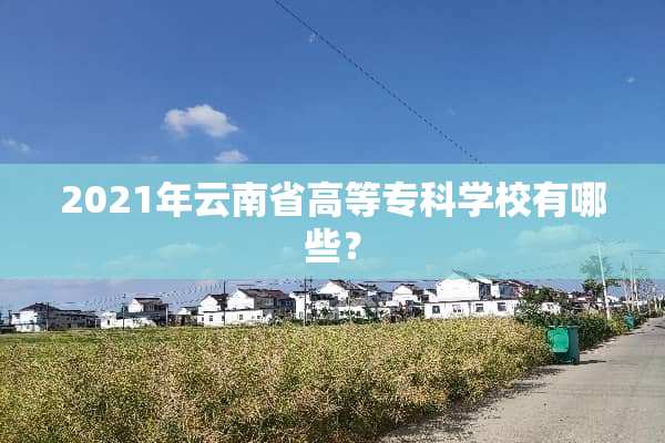 2021年云南省高等专科学校有哪些？
