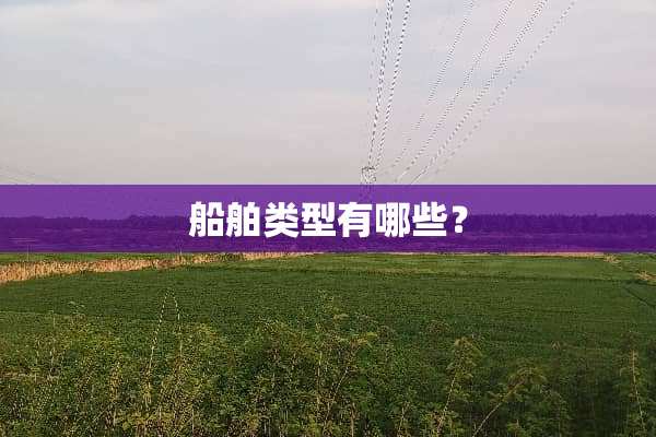 船舶类型有哪些？