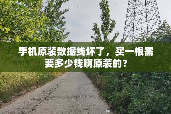 手机原装数据线坏了，买一根需要多少钱啊原装的？