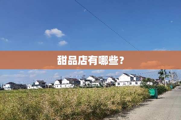 甜品店有哪些？