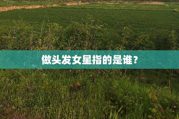 做头发女星指的是谁？