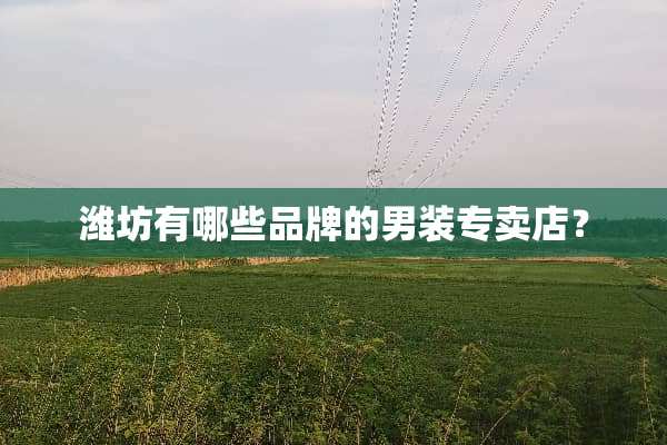 潍坊有哪些品牌的男装专卖店？
