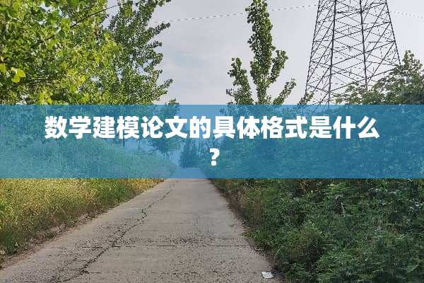 数学建模论文的具体格式是什么？