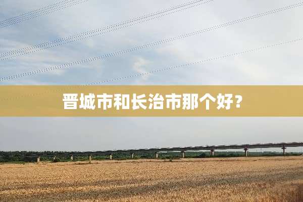晋城市和长治市那个好？