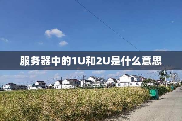 服务器中的1U和2U是什么意思