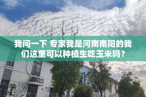 我问一下 专家我是河南南阳的我们这里可以种植生吃玉米吗？