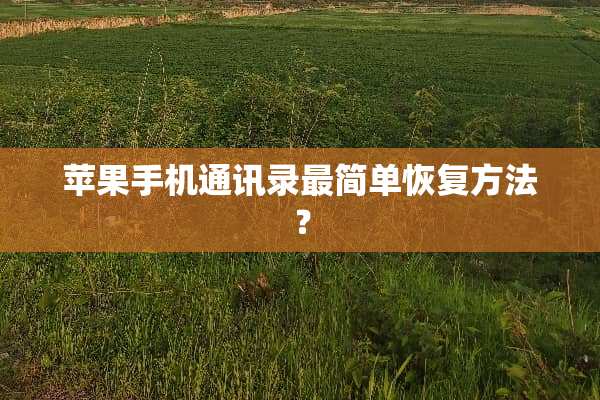 苹果手机通讯录最简单恢复方法？