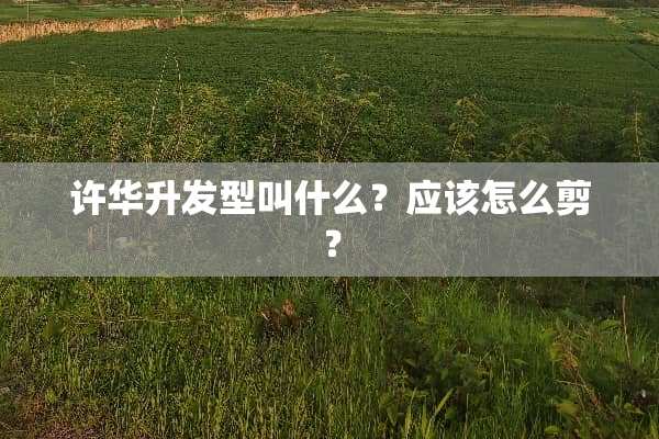 许华升发型叫什么？应该怎么剪？