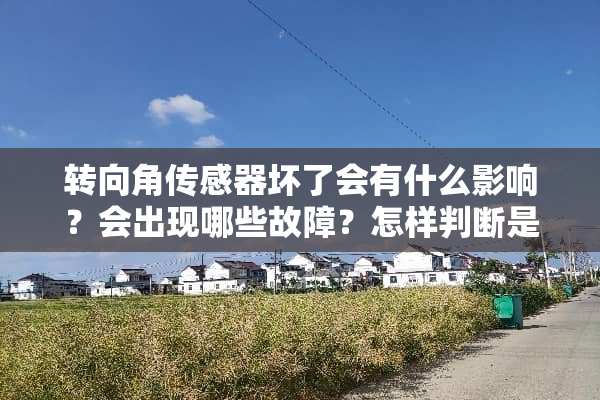 转向角传感器坏了会有什么影响？会出现哪些故障？怎样判断是这个东西坏了？