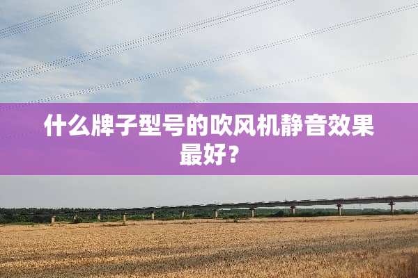 什么牌子型号的吹风机静音效果最好？
