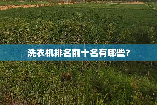 洗衣机排名前十名有哪些？
