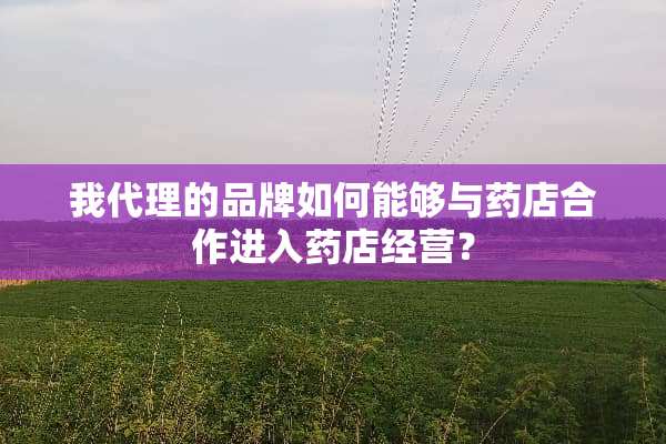 我代理的品牌如何能够与药店合作进入药店经营？