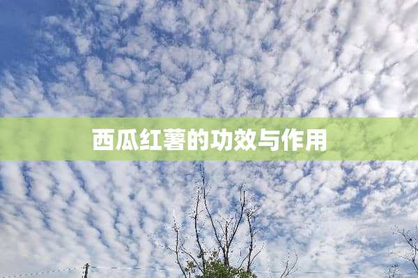 西瓜红薯的功效与作用