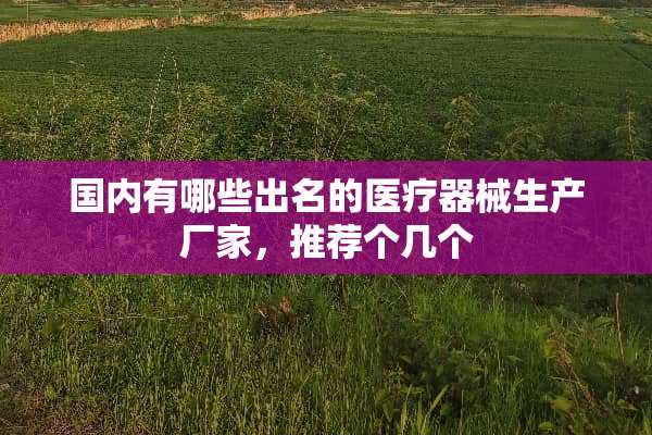国内有哪些出名的医疗器械生产厂家，推荐个几个