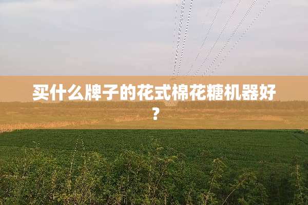 买什么牌子的花式棉花糖机器好？