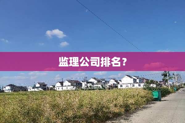 监理公司排名？