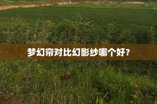 梦幻帘对比幻影纱哪个好？