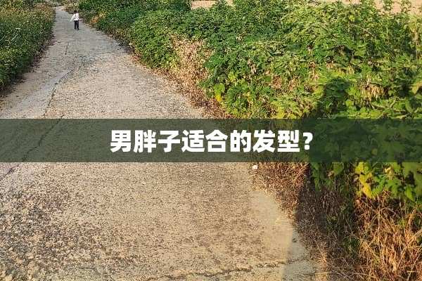 男胖子适合的发型？