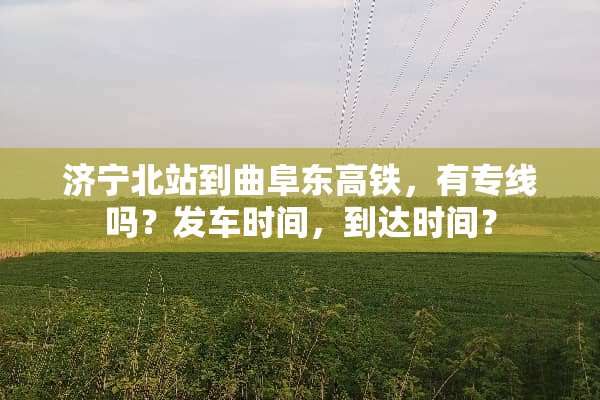 济宁北站到曲阜东高铁，有专线吗？发车时间，到达时间？