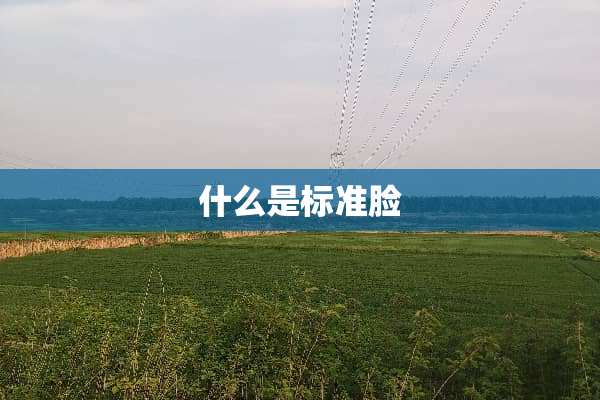 什么是标准脸