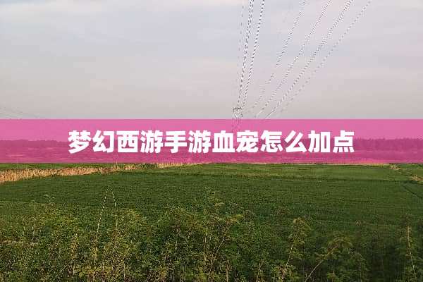 梦幻西游手游血宠怎么加点