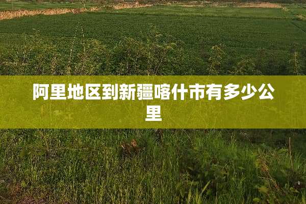 阿里地区到新疆喀什市有多少公里