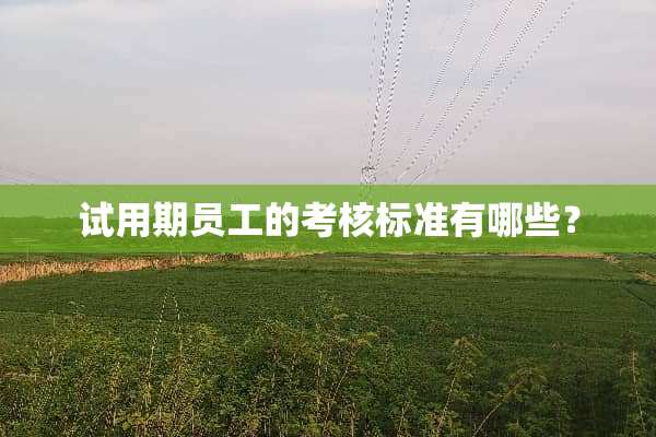 试用期员工的考核标准有哪些？