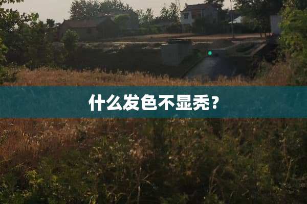 什么发色不显秃？