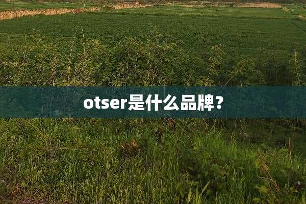 otser是什么品牌？