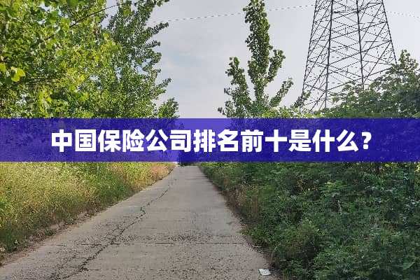中国保险公司排名前十是什么？
