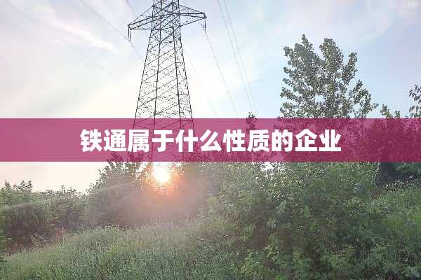 铁通属于什么性质的企业