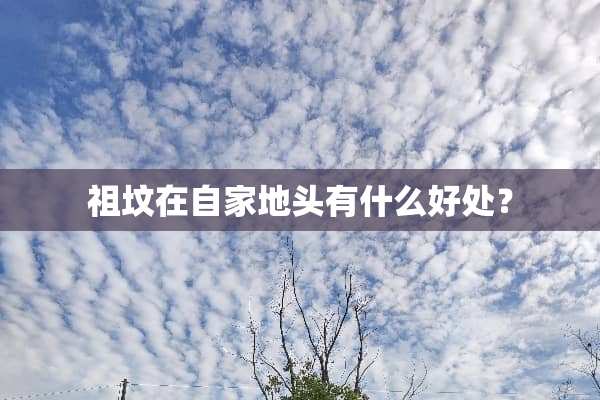 祖坟在自家地头有什么好处？