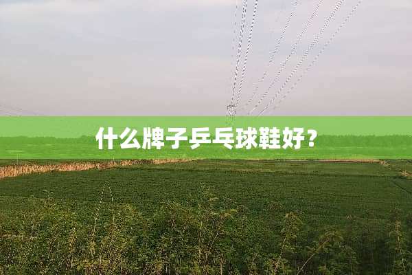 什么牌子乒乓球鞋好？