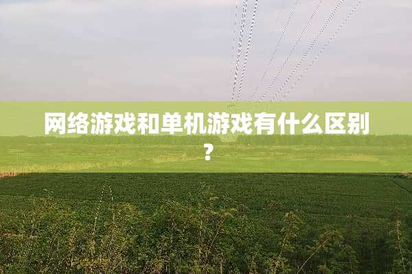 网络游戏和单机游戏有什么区别？