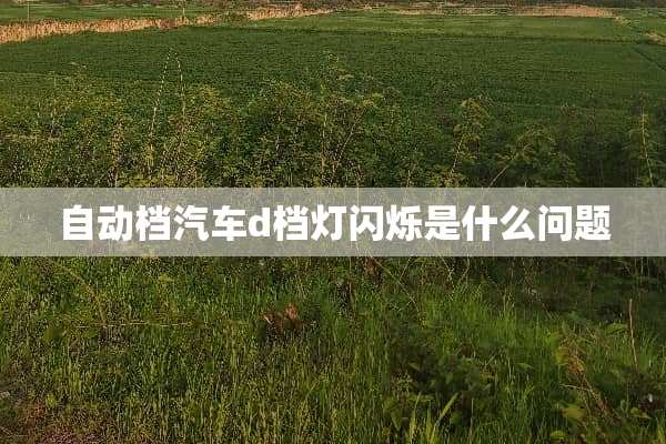自动档汽车d档灯闪烁是什么问题