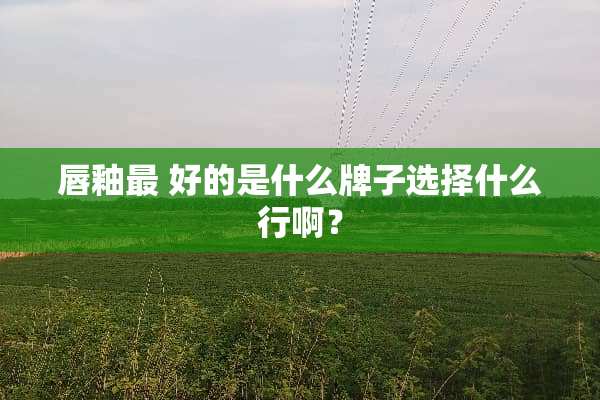 唇釉最 好的是什么牌子选择什么行啊？