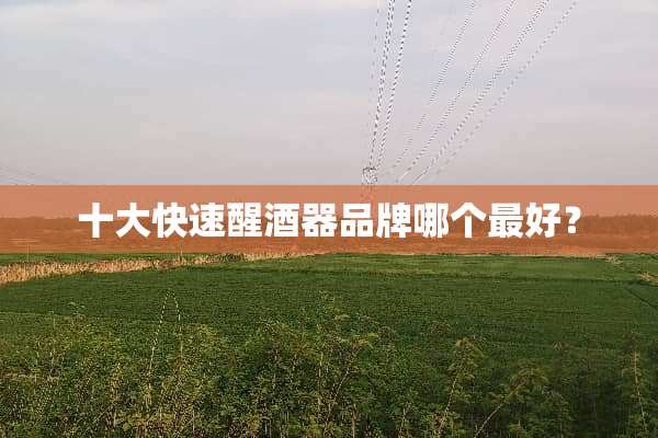 十大快速醒酒器品牌哪个最好？