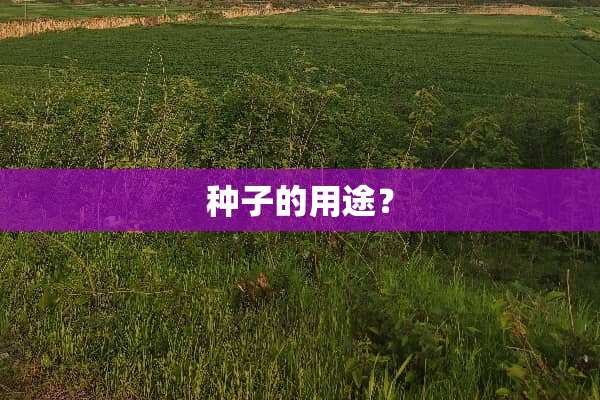 种子的用途？