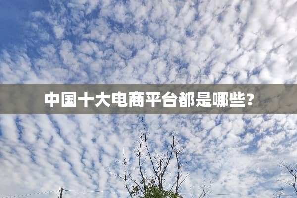 中国十大电商平台都是哪些？