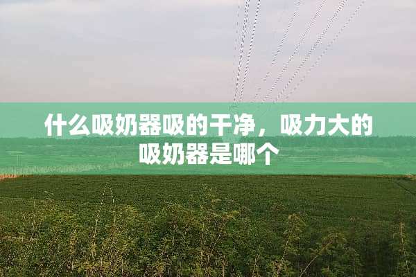 什么吸奶器吸的干净，吸力大的吸奶器是哪个