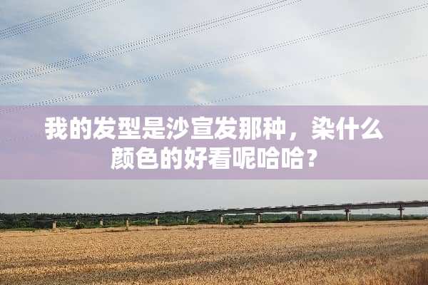 我的发型是沙宣发那种，染什么颜色的好看呢哈哈？